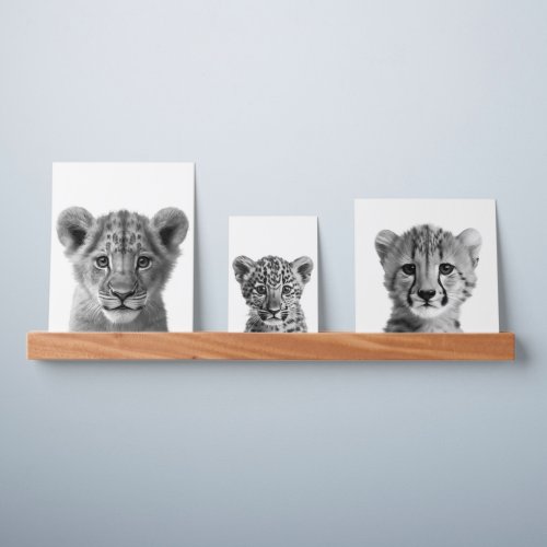 Baby Safari African Jungle Animals Nursery Lion Picture Ledge