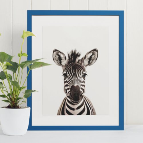 Baby Safari African Jungle Animals  Zebra  Poster