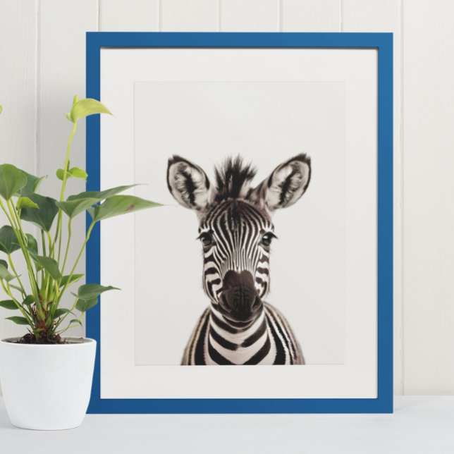 Baby Safari African Jungle Animals  Zebra  Poster (Creator Uploaded)