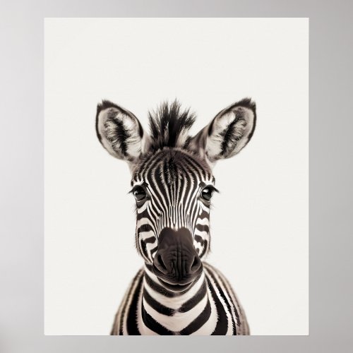 Baby Safari African Jungle Animals  Zebra  Poster