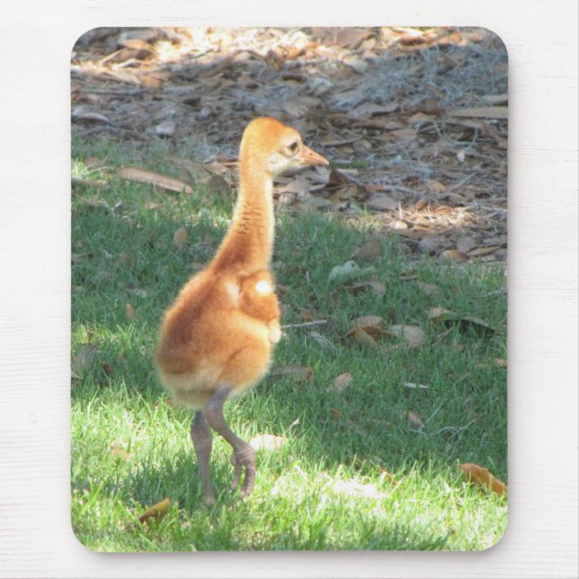 Baby Sandhill Crane Mouse Pad (Front)