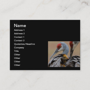 Baby Sandhill with Mom Calling Card