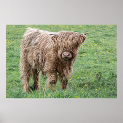baby Scottish Highland cow Poster