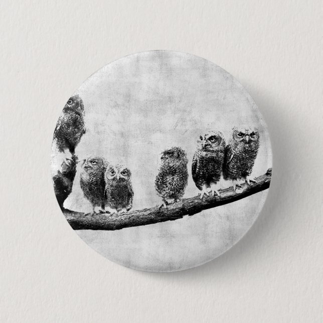 Baby Screech Owls Button (Front)