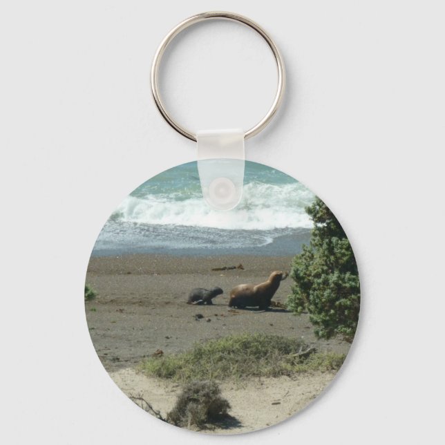 Baby sea lion and mother keychain (Front)