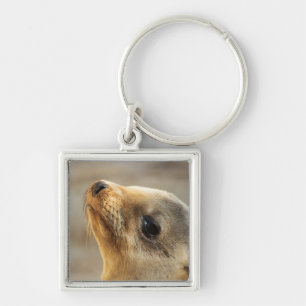 Baby Sea Lion Face Keychain