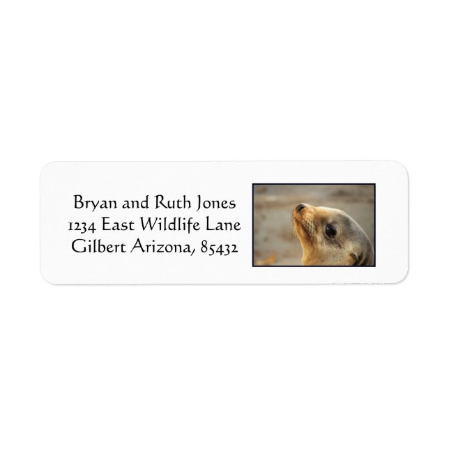 Baby Sea Lion Face Label (Front)