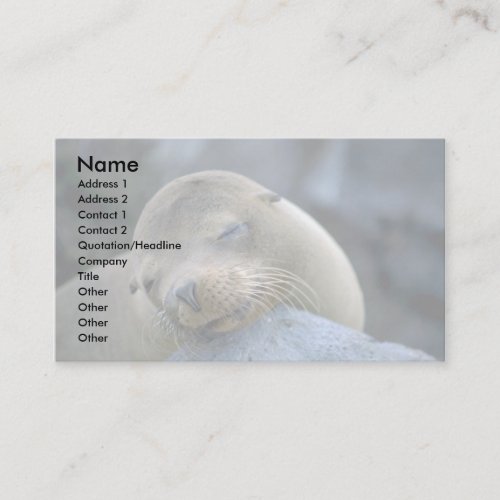 Baby sea lion, Galapagos Islands Business Card Template