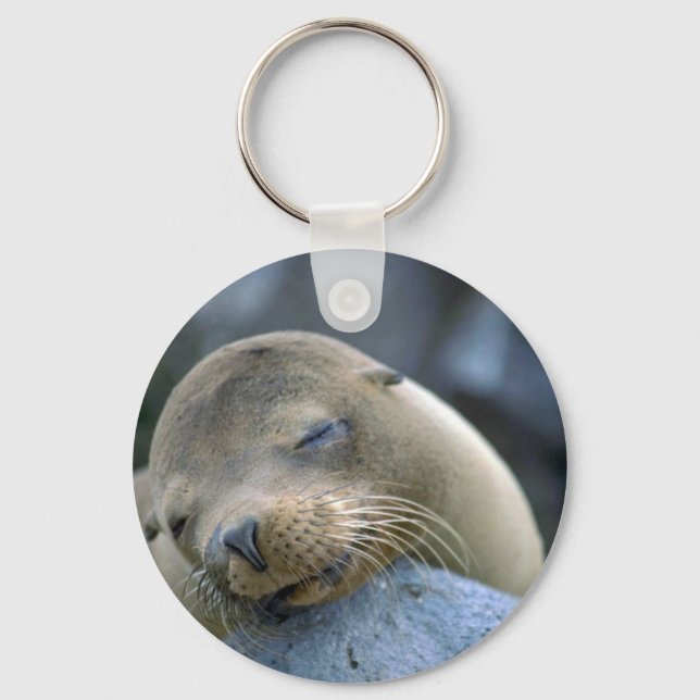 Baby sea lion, Galapagos Islands Keychain (Front)