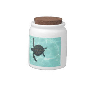 Baby Sea Turtle Candy Jar