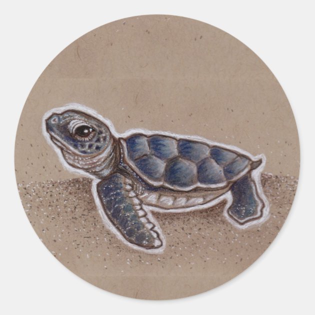 Sea Turtle – jo fox – adventures in art