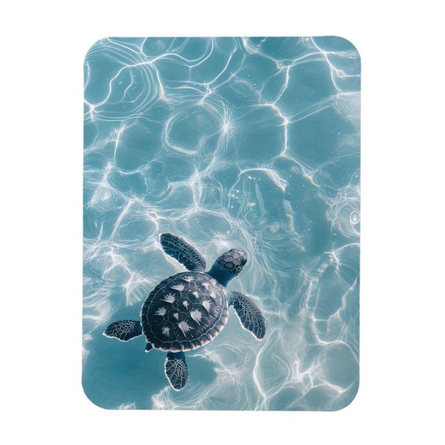 Baby Sea Turtle in Clear Water Magnet (Vertical)