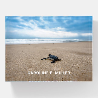 Baby Sea Turtle on the Beach Personalized Paperweight