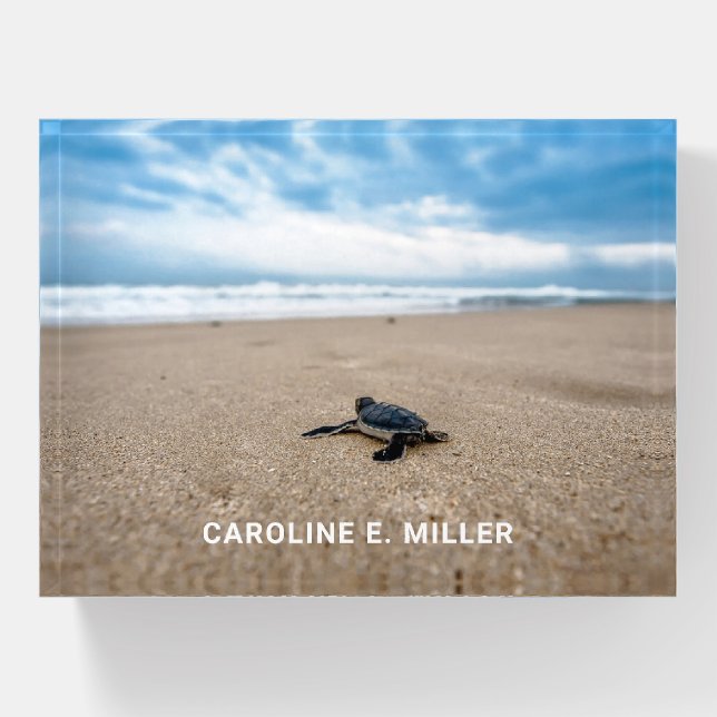 Baby Sea Turtle on the Beach Personalized Paperweight (Front)