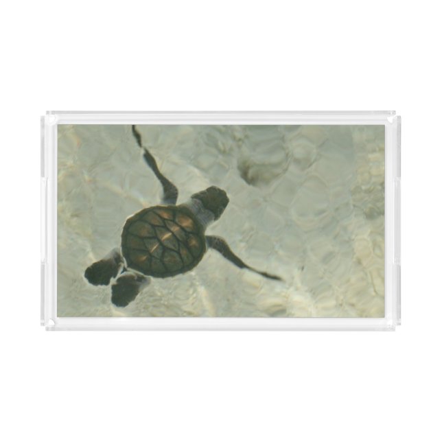 Baby Sea Turtle Swimming Out To Sea Acrylic Tray (Front)