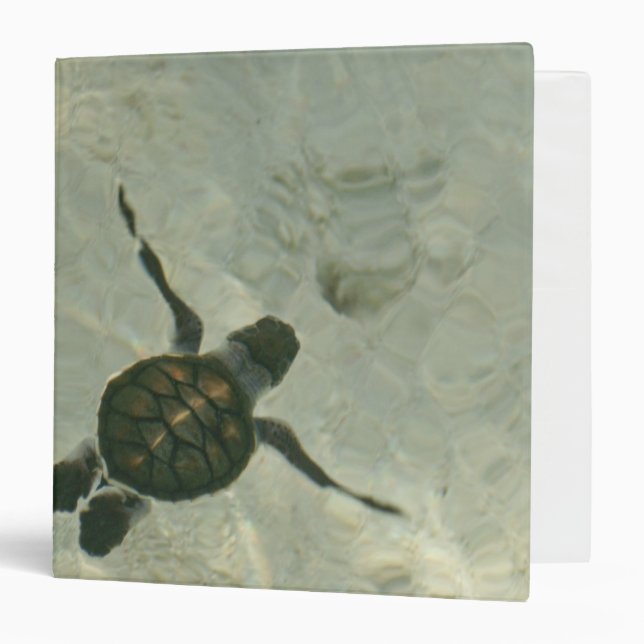 Baby Sea Turtle Swimming Out To Sea Binder (Front/Inside)