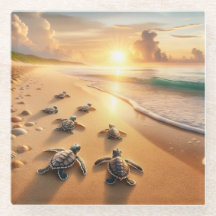 Baby Sea Turtles heading to the Ocean at the Beach