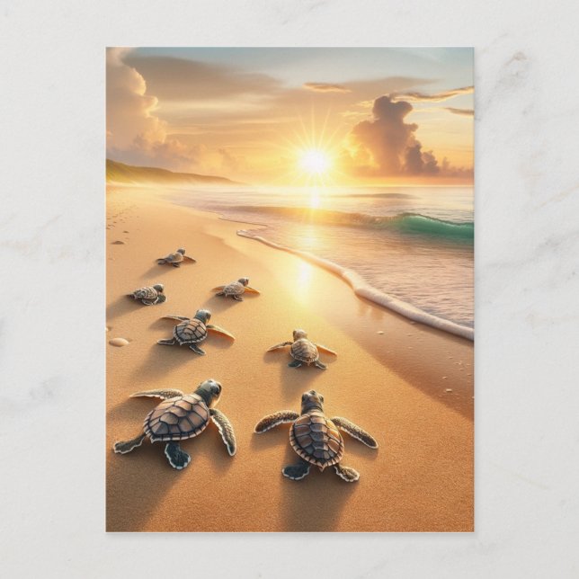 Baby Sea Turtles heading to the Ocean at the Beach Postcard (Front)
