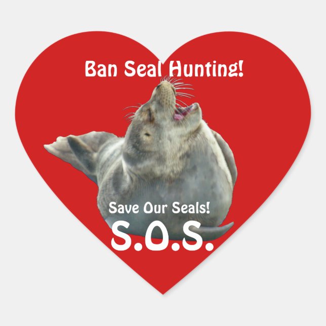 BABY SEAL Anti Seal-Hunt Wildlife Sticker (Front)