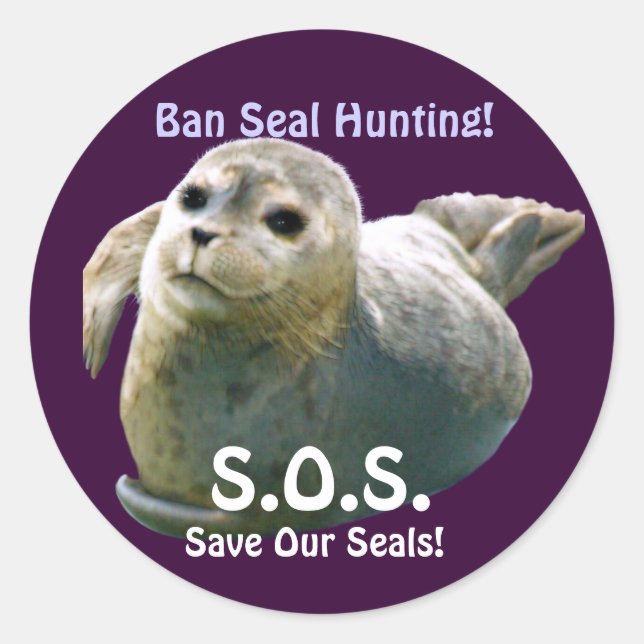 BABY SEAL Anti Seal-Hunt Wildlife Sticker (Front)