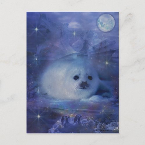 Baby Seal on Ice _ Beautiful Seascape Postcard