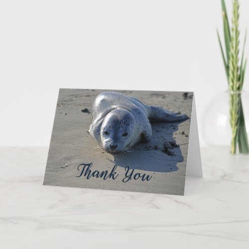 Baby Seal on the Beach Photo Thank You Card
