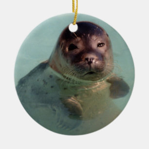 Baby Seal Ornaemnt Ceramic Ornament
