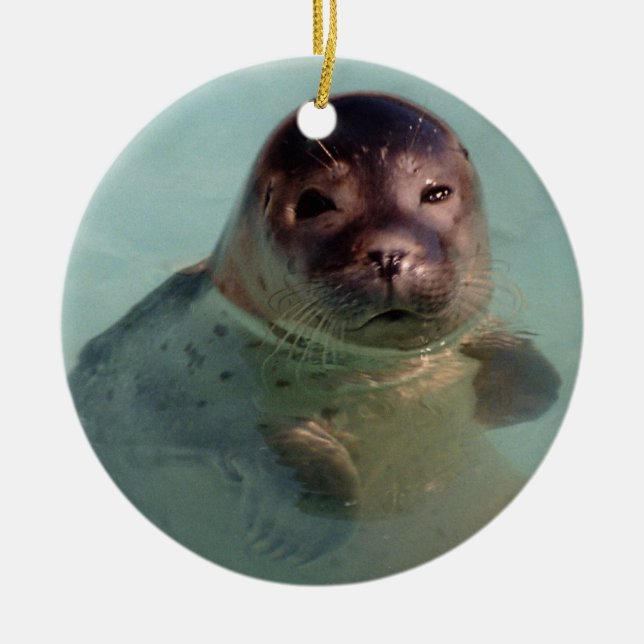 Baby Seal Ornaemnt Ceramic Ornament (Front)
