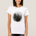 Baby Seals Ladies Fitted T-Shirt