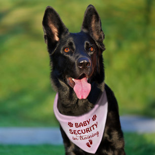Baby Security is Training Pet Bandana Collar
