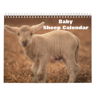 Baby Sheep Lamb 2026 Calendar