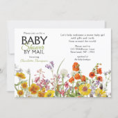 Baby Shower By Mail Colorful Wild Flowers Invitation (Front)
