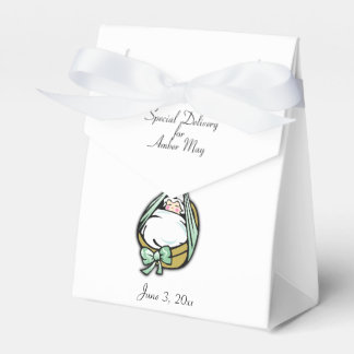 Baby Shower Cute and Fun Delivery Stork Favor Box