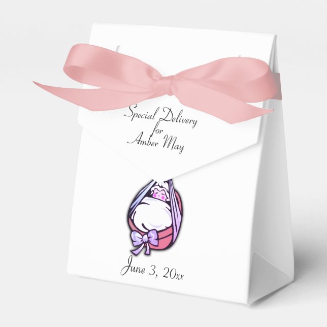 Baby Shower Cute Delivery Stork message / Date Favor Boxes (Front Side)