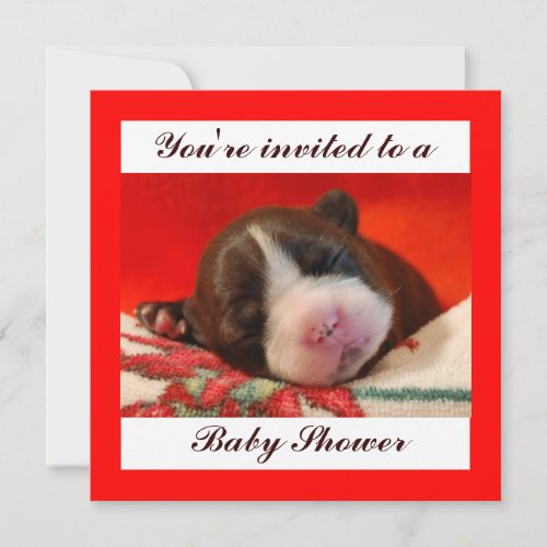 Baby Shower Personalized Invitations