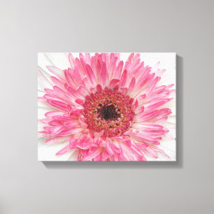Baby Shower Pink Flower- Pink Design Canvas Print