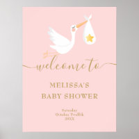 Baby Shower Special Delivery Stork Welcome Sign