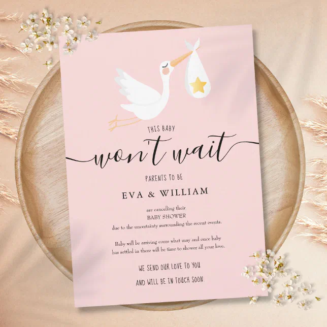 Baby Shower Sprinkle Cancellation Pink Card Zazzle