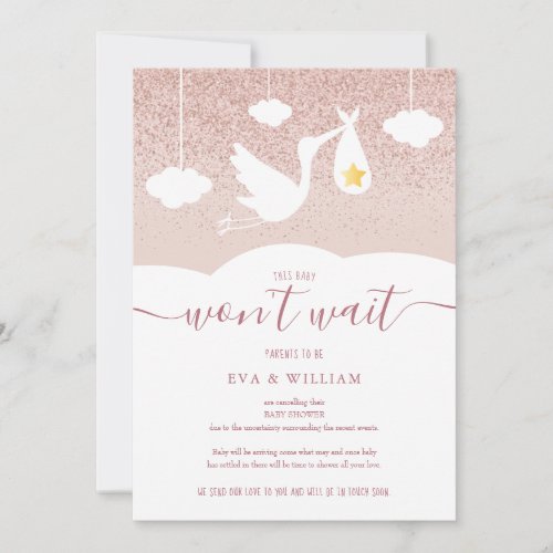 Baby Shower Sprinkle Cancellation Stork Glitter Invitation