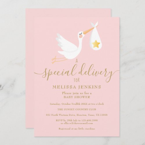 Baby Shower Sprinkle Special Delivery Stork Pink Invitation