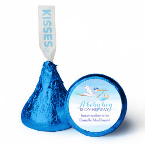 Baby shower stork delivering a baby baby blue sky hershey®'s kisses®