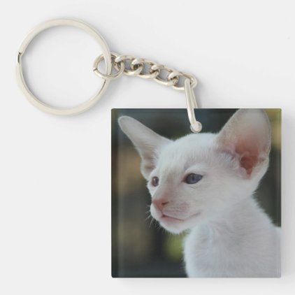 Baby Siamese Kitty Keychain