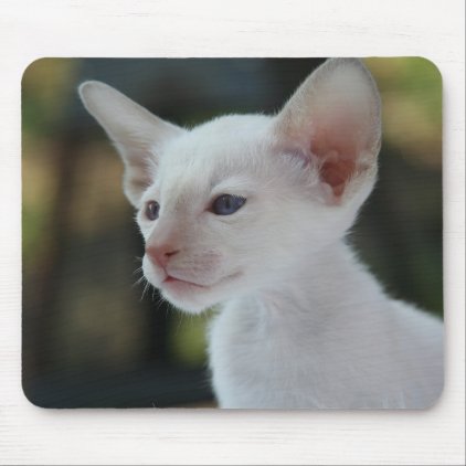Baby Siamese Kitty Mouse Pad