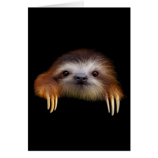 Baby Sloth (Front)