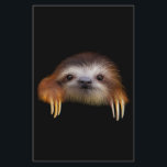 Baby Sloth<br><div class="desc">"Baby Sloth" an original digital painting by pawsforamoment.</div>