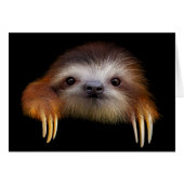 Baby Sloth (Front Horizontal)