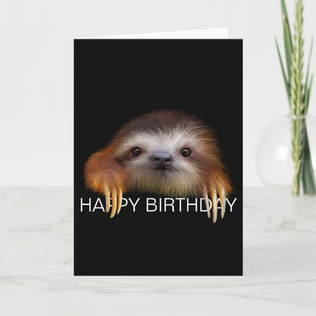 Baby Sloth Birthday Card (Front)