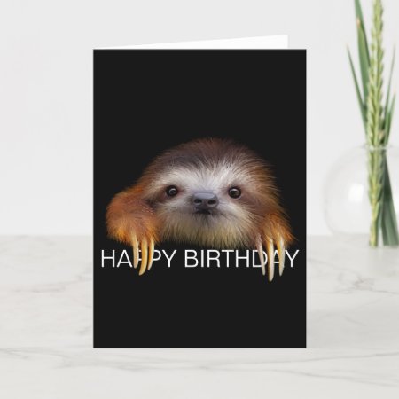 Baby Sloth Birthday Card