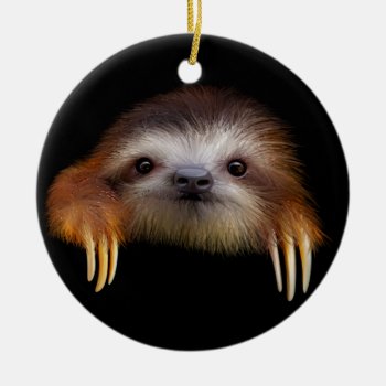 Baby Sloth Ceramic Ornament by PawsForaMoment at Zazzle