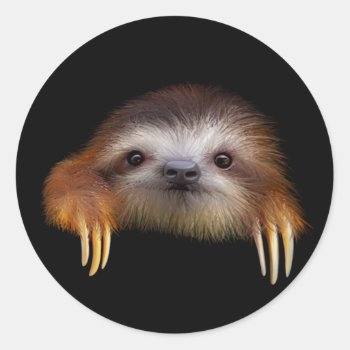 Baby Sloth Classic Round Sticker by PawsForaMoment at Zazzle
